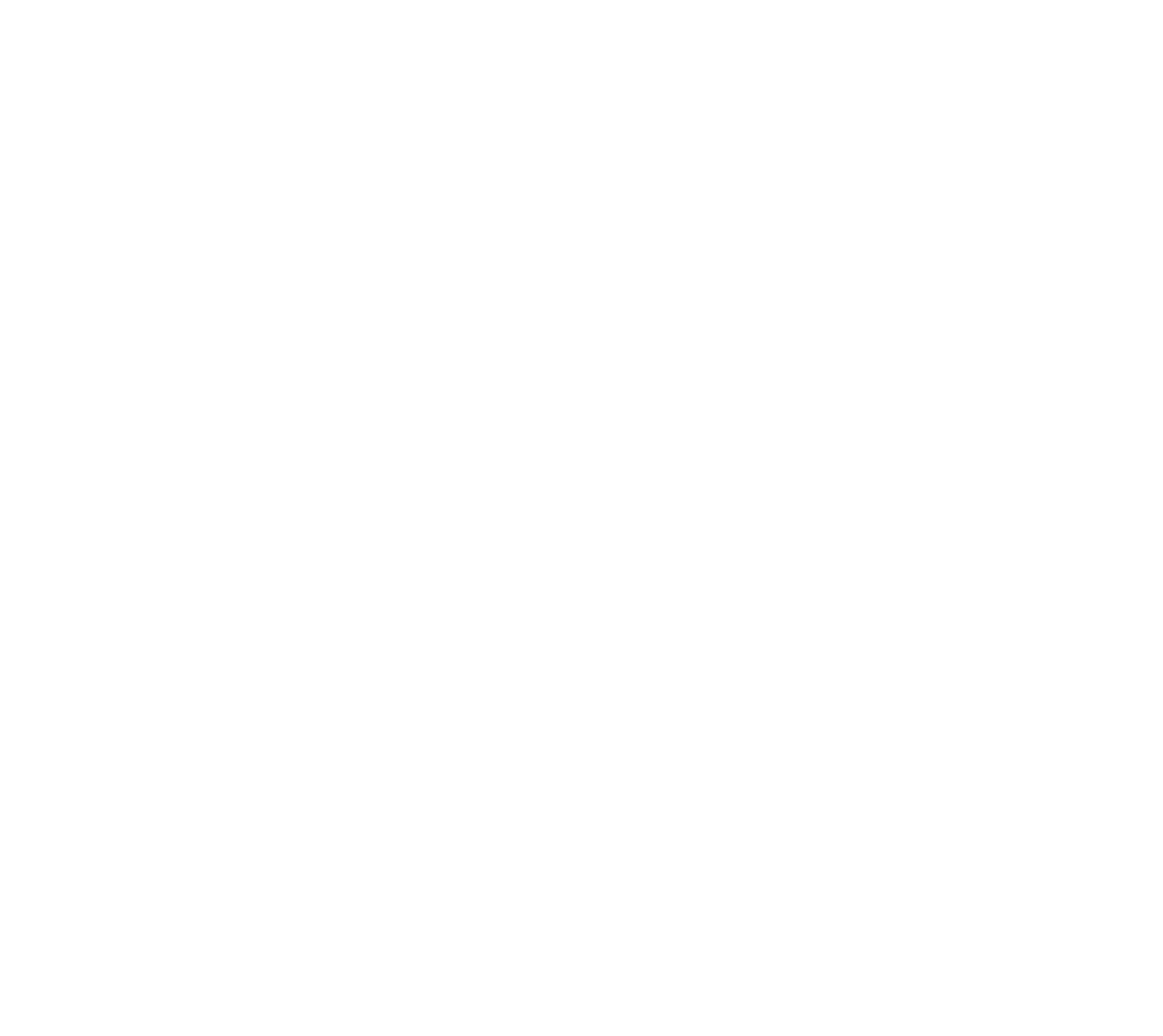 Bluesky International Logistics logo white