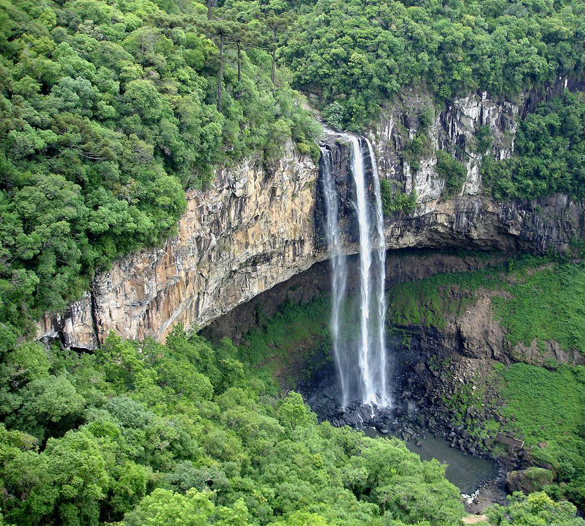 Rainforest Waterfall